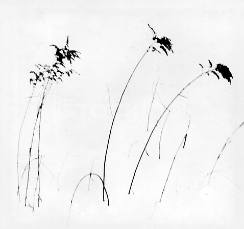 Art in the Snow 1966