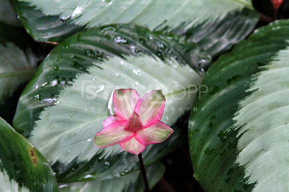 Photo #24