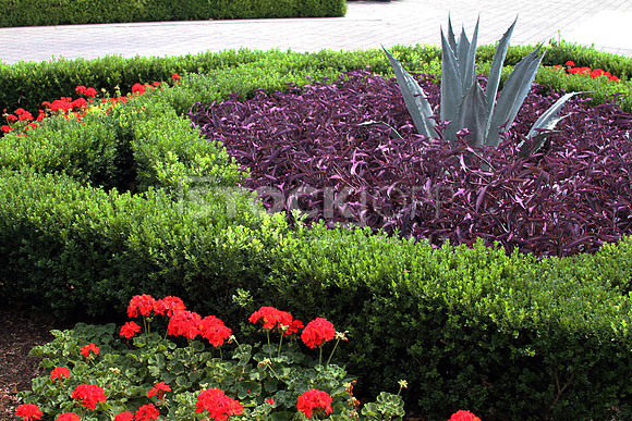 Photo #25