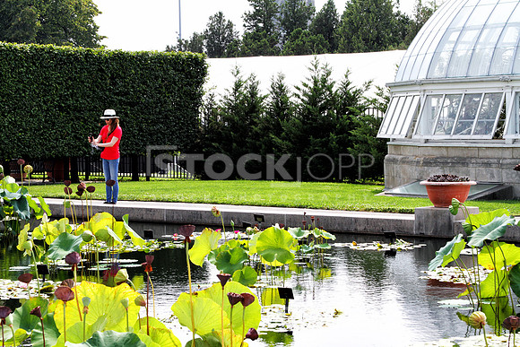 Photo #31