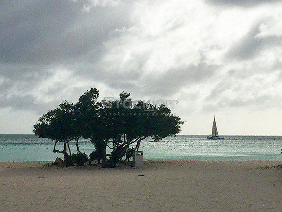 Aruba Sailing