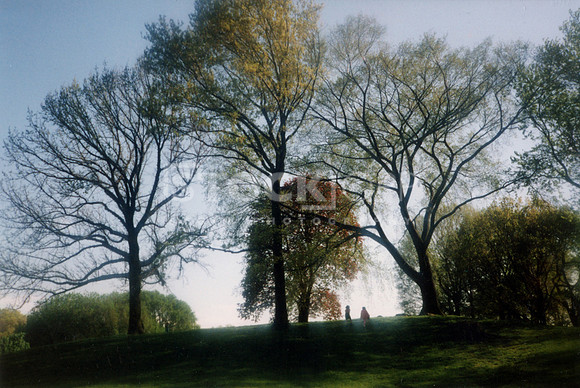 Prospect Park Vista  (ca.19900