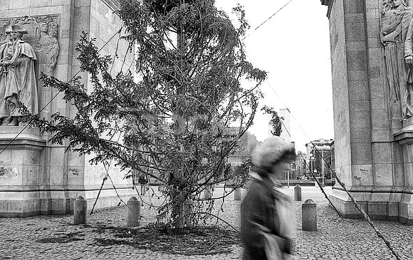 Washington Square Arch 1971