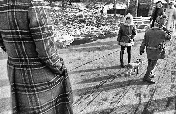 Central Park 1971